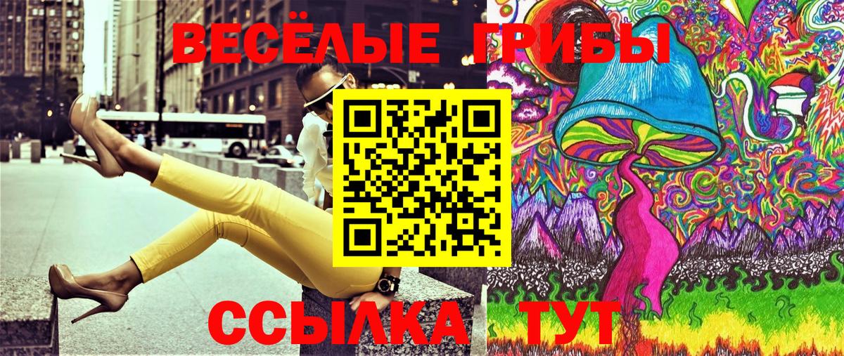 Нарткала  как найти наркотики  Вход с VPN  Галлюциногенные грибы Psilocybe 