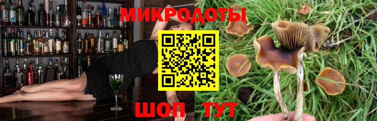 Псилоцибиновые грибы мицелий Нарткала